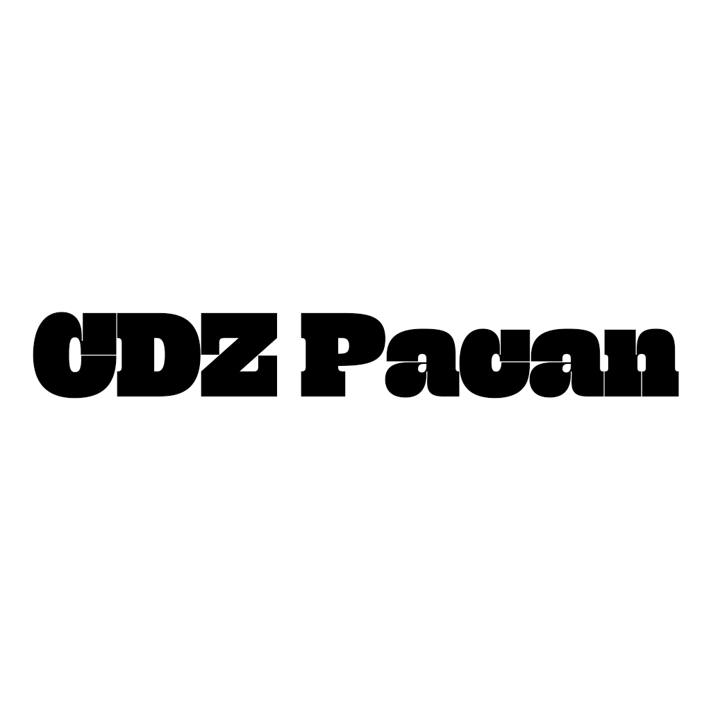 ЦДЗ Пацан